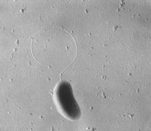 �����}߀ԭ��������