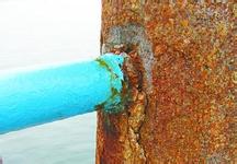 �F�P�D(zhu��n)����